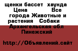 щенки бассет- хаунда › Цена ­ 20 000 - Все города Животные и растения » Собаки   . Архангельская обл.,Пинежский 